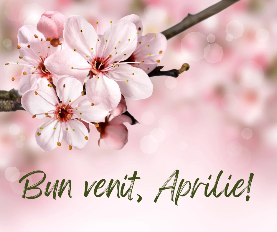 Oferta speciala APRILIE